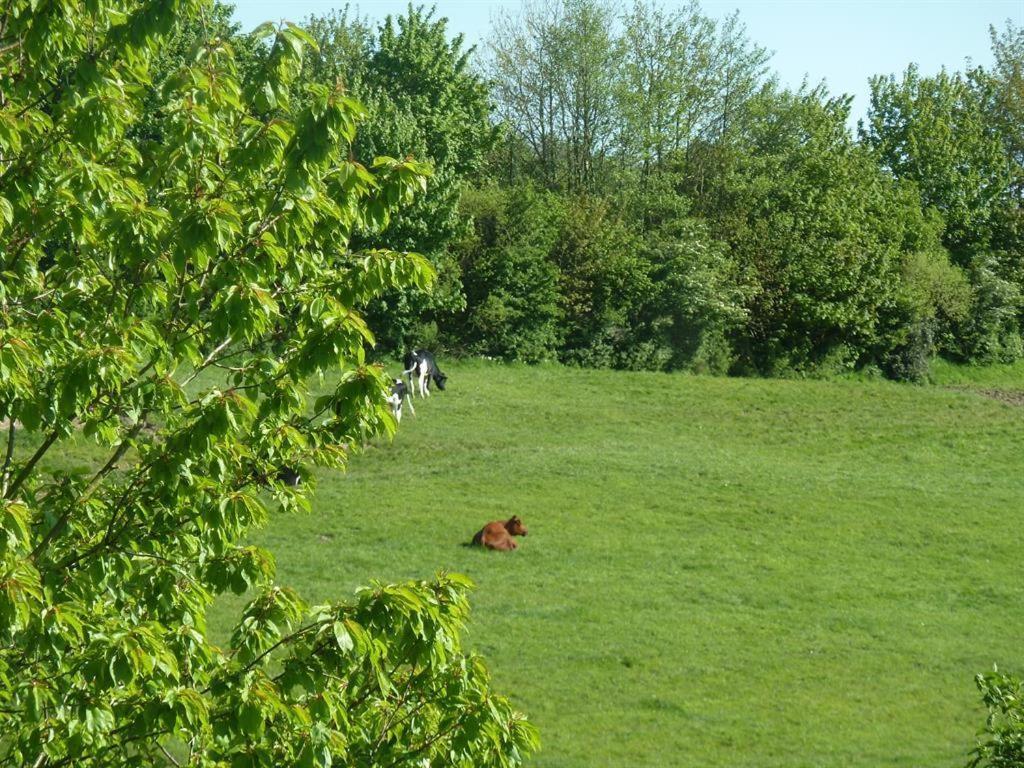 Ferienhof Jepsen Westerholz Pokój zdjęcie